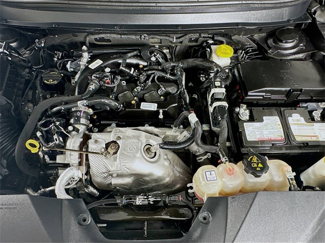 View 31