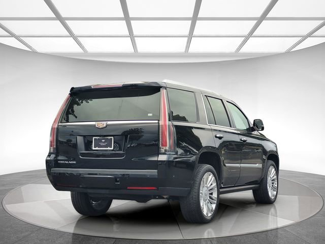 2020 Cadillac Escalade Platinum photo 3