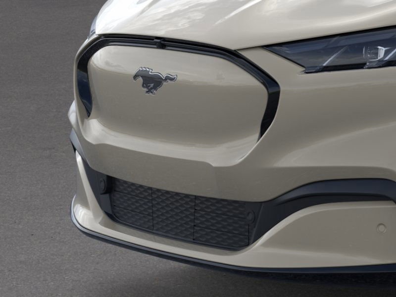 2025 Ford Mustang Mach-E Premium photo 13