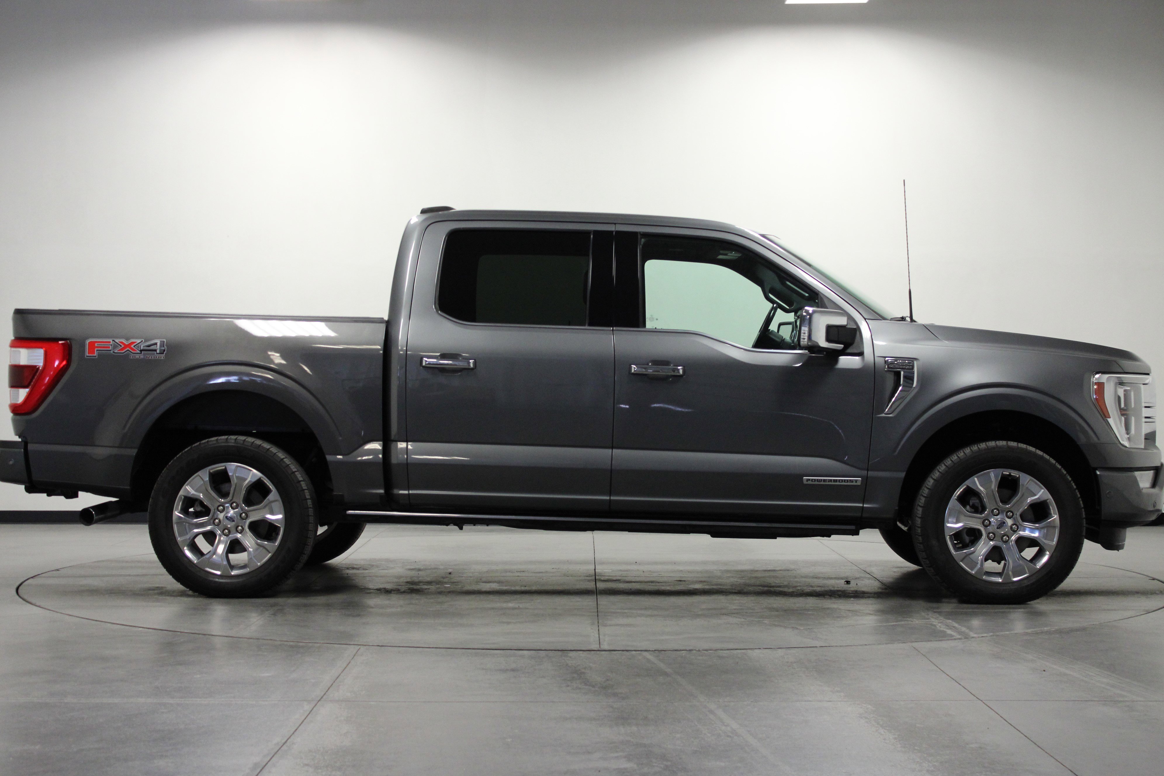2021 Ford F-150 Platinum photo 2