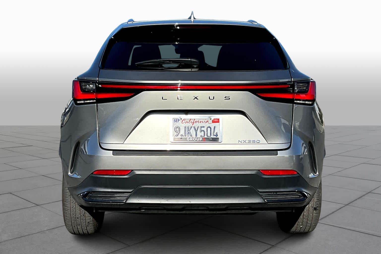 2024 Lexus NX 250 photo 4