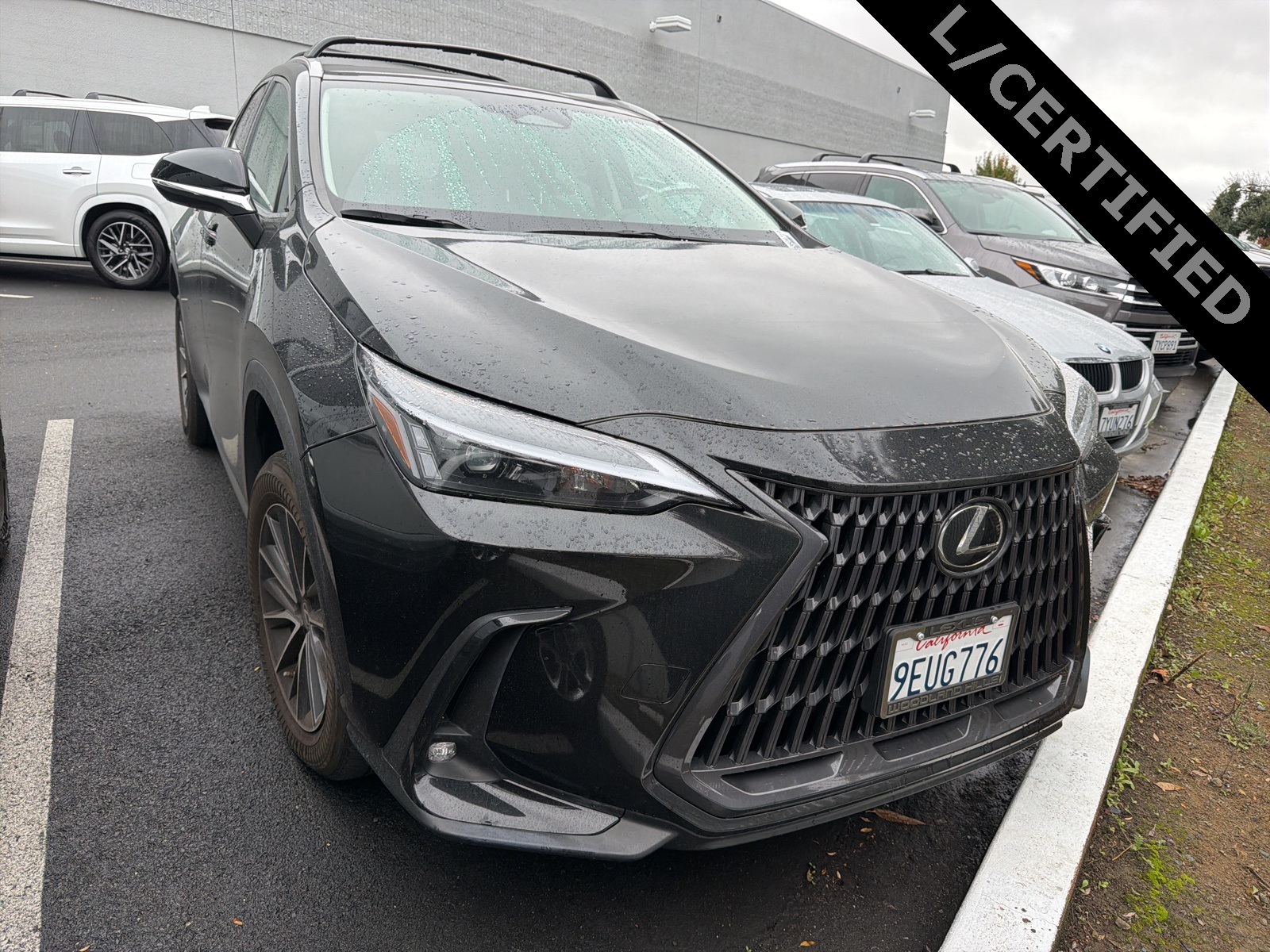 2023 Lexus NX 350's photo