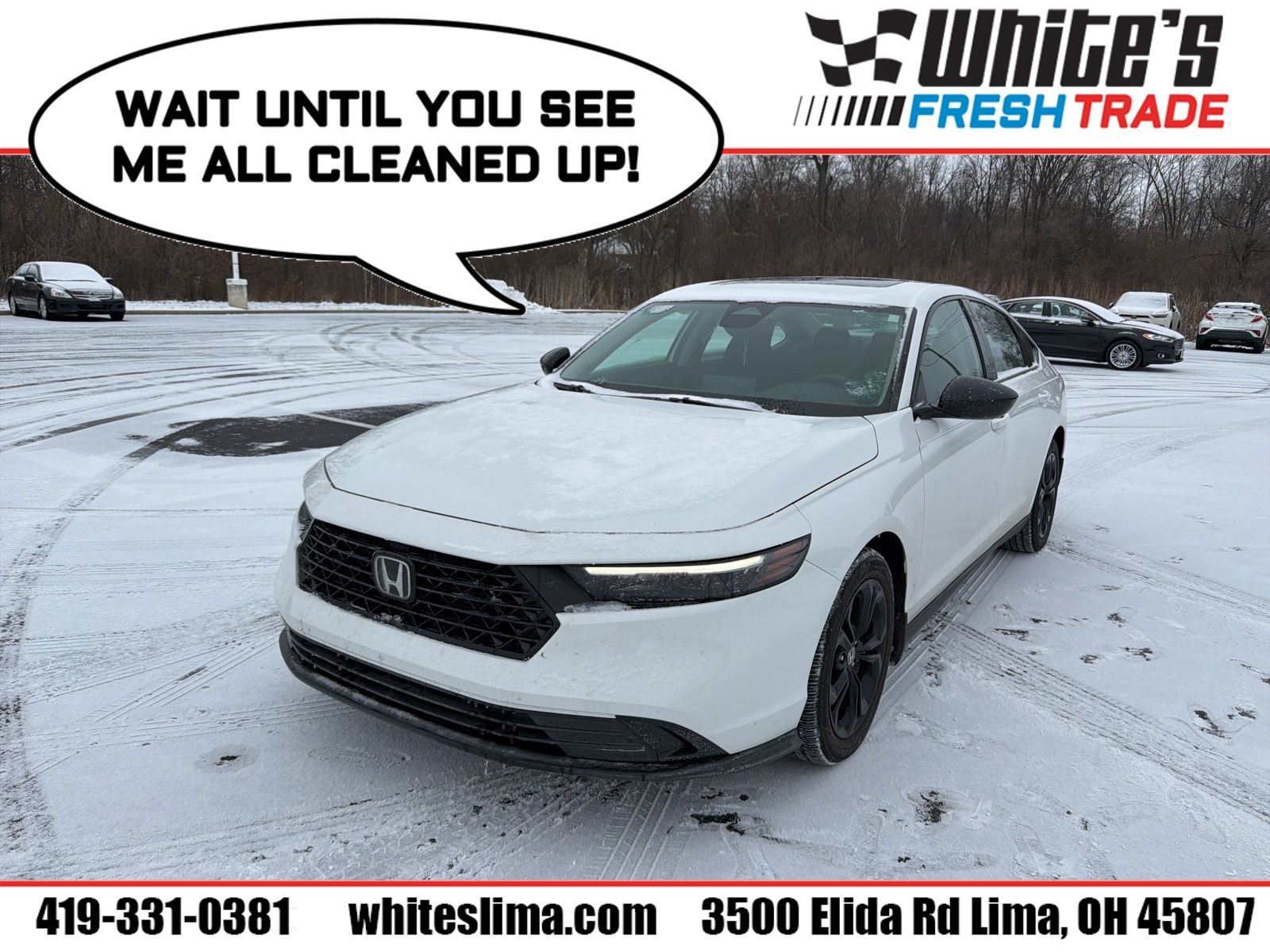 2025 Honda Accord SE's photo