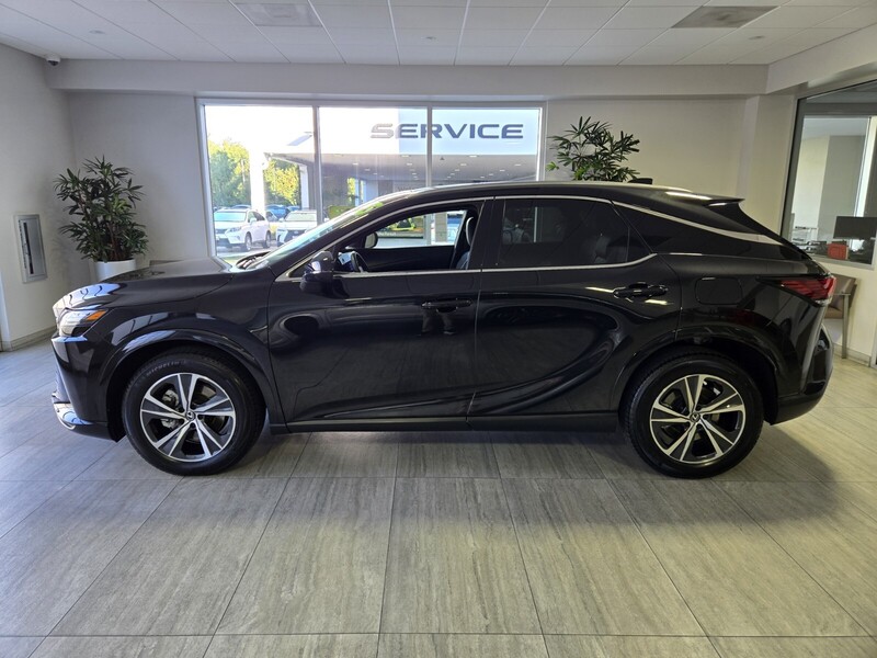 2025 Lexus RX 350 photo 2