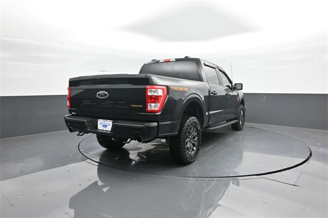 2022 Ford F-150 Tremor photo 4