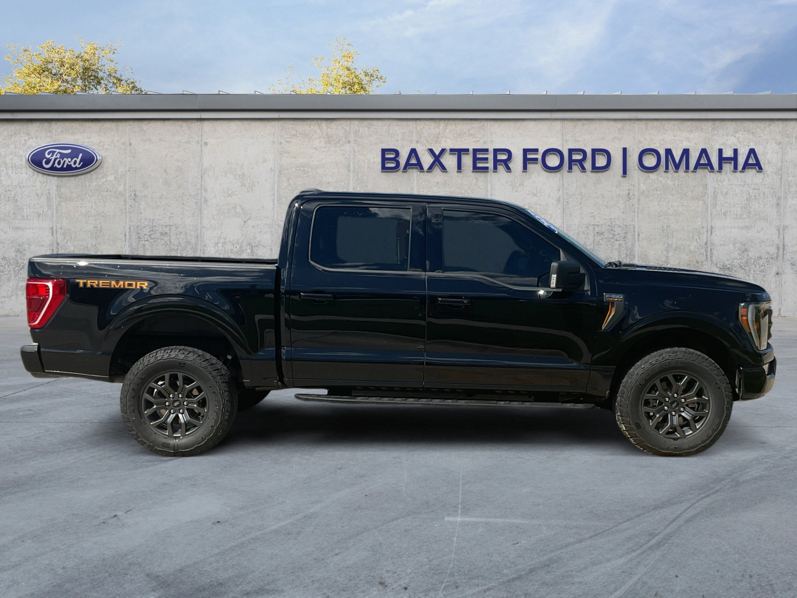 2021 Ford F-150 Tremor photo 8