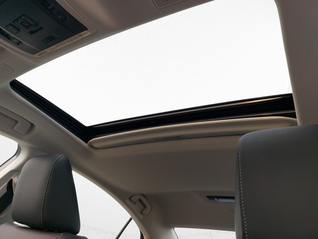 2025 Lexus ES 300h F SPORT Design photo 28