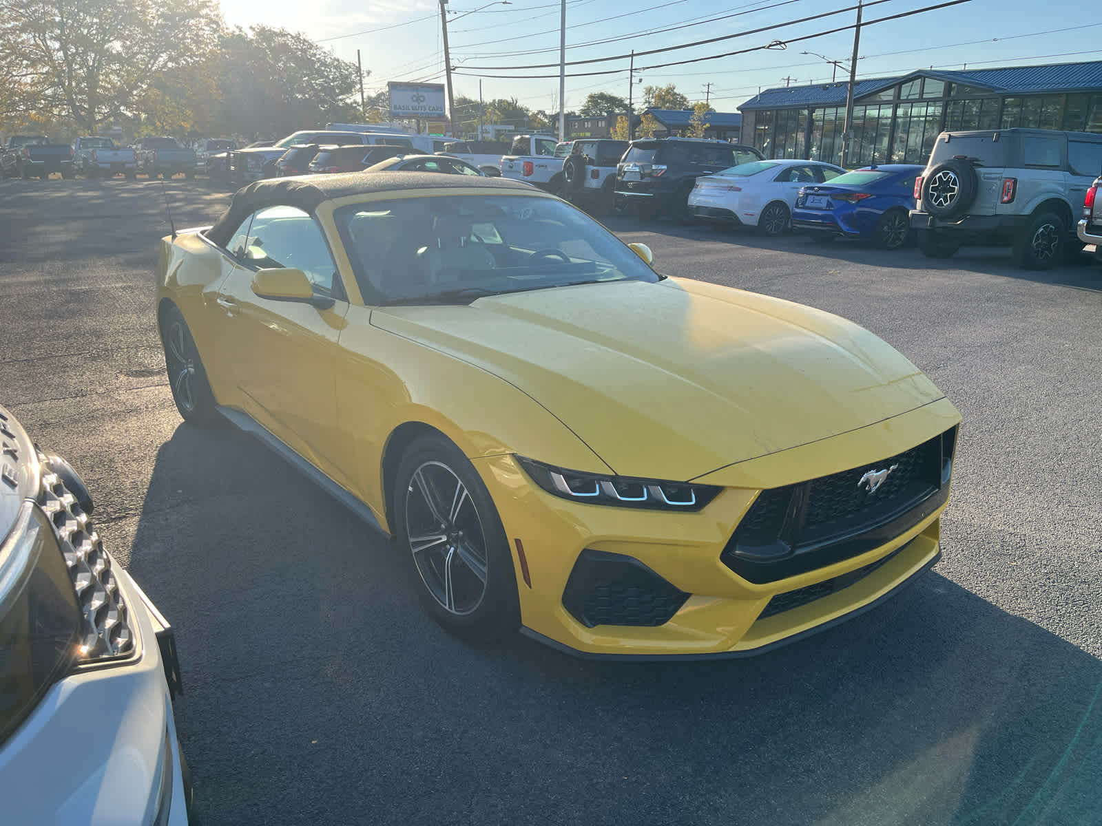 2024 Ford Mustang EcoBoost Premium Convertible photo 2
