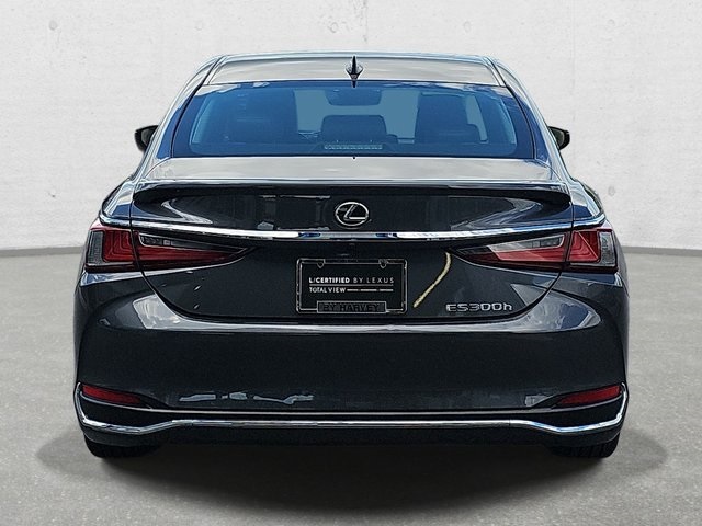 2024 Lexus ES 300h Luxury photo 6