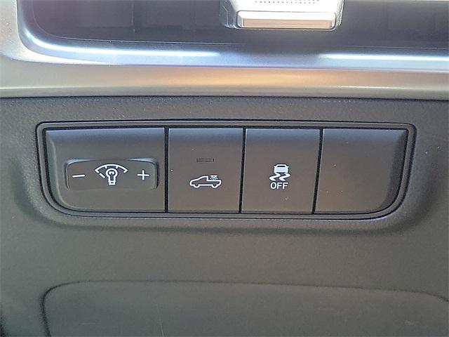 2025 Hyundai Santa Cruz SEL Activity photo 15
