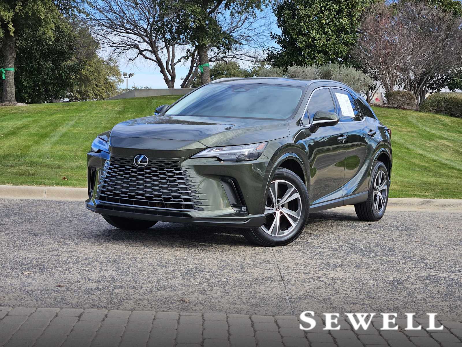 2023 Lexus RX 350's photo