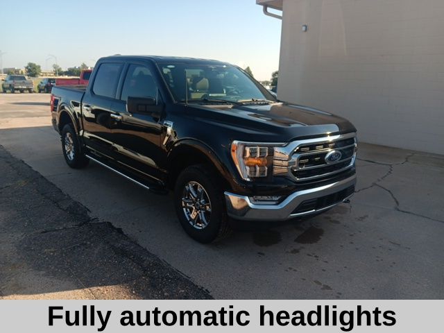 2023 Ford F-150 XLT photo 3