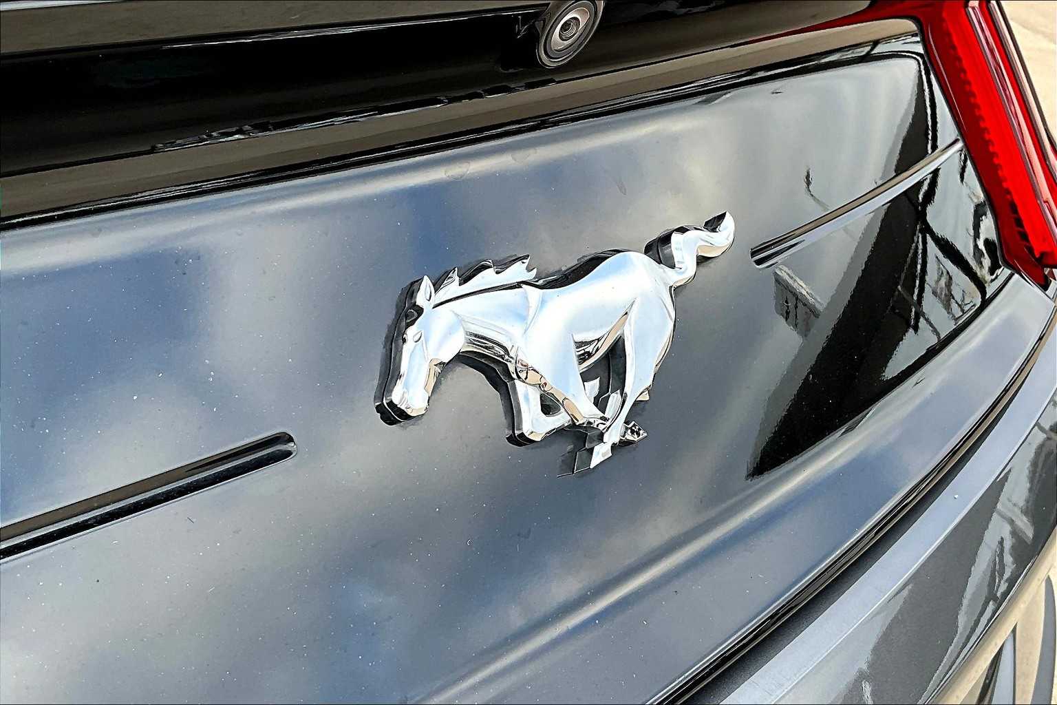 2021 Ford Mustang EcoBoost photo 29
