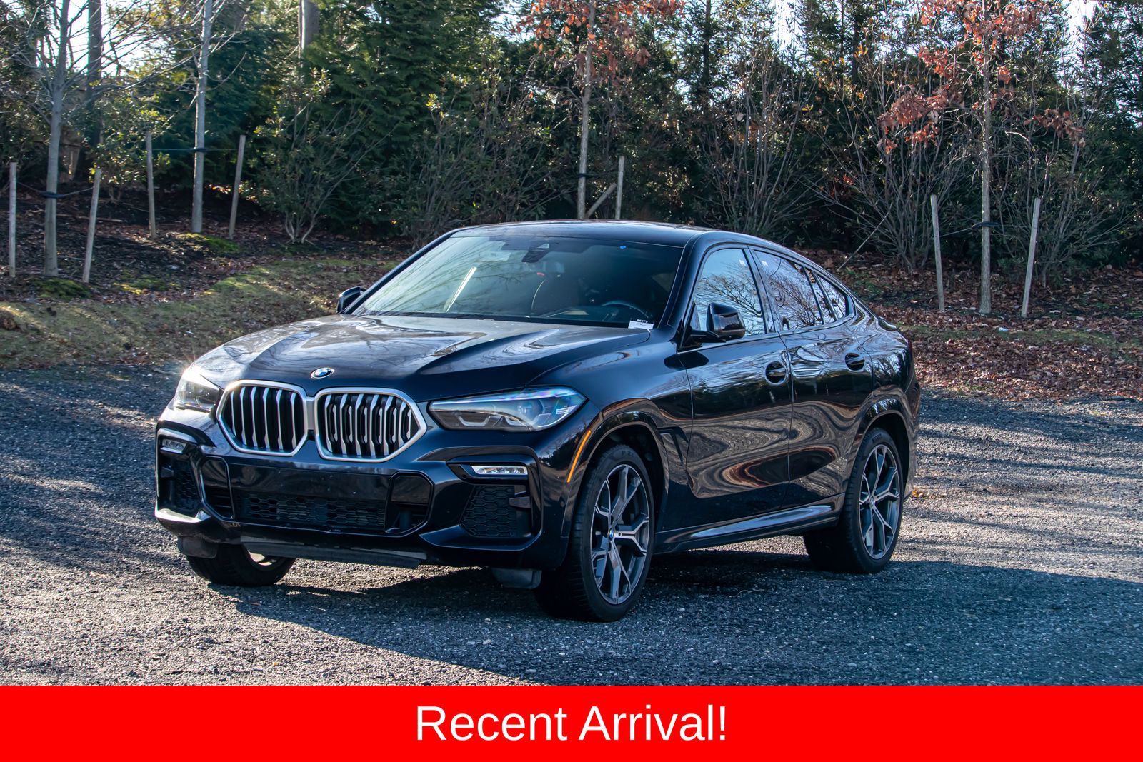2021 BMW X6 40i's photo