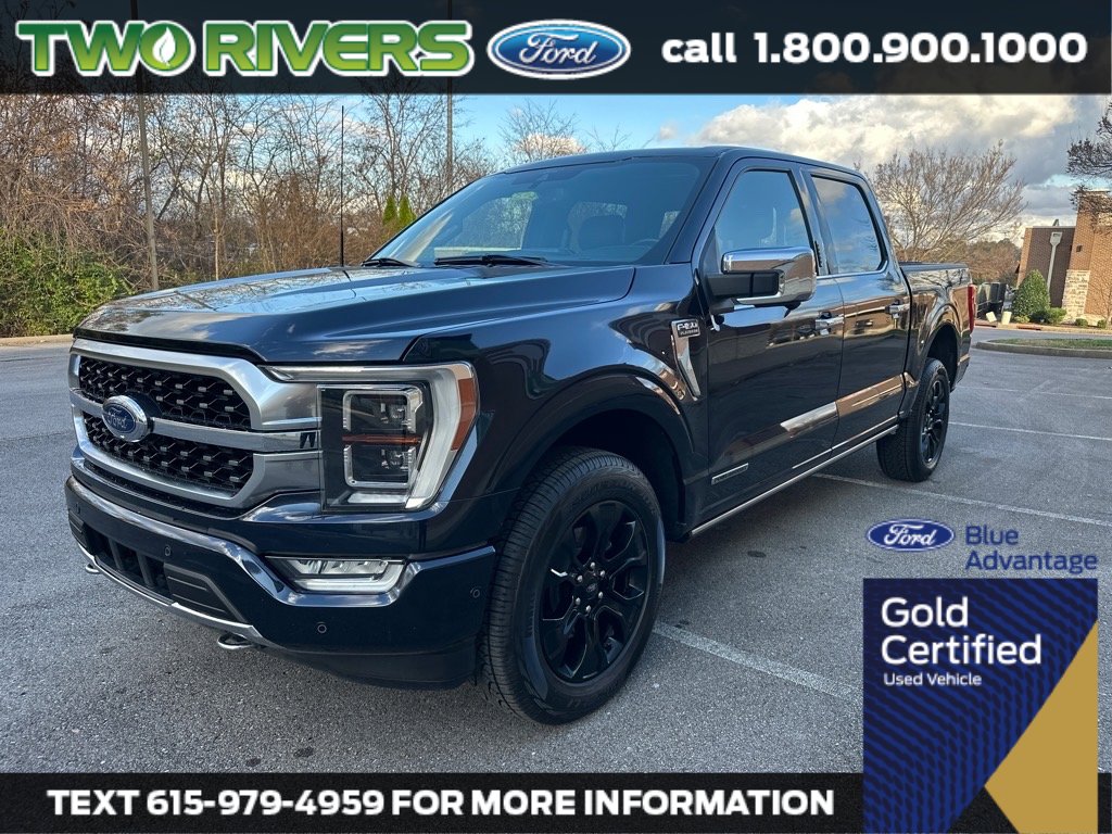 2021 Ford F-150 Platinum's photo