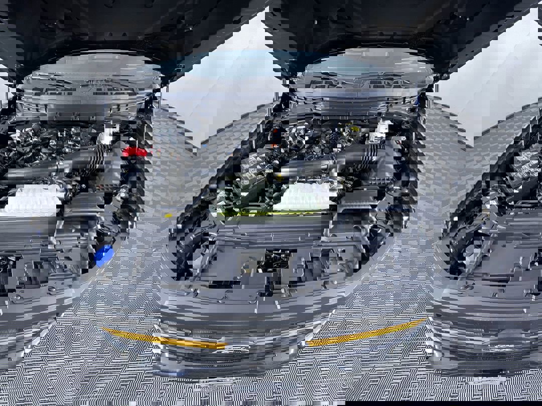 2025 Ford F-150 Tremor photo 28