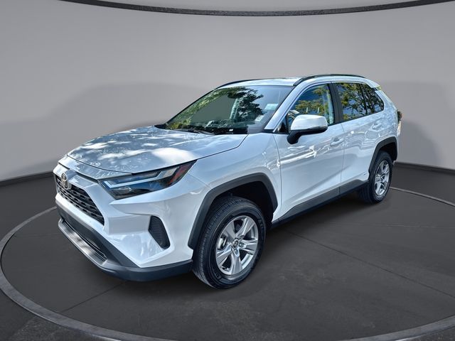 2025 Toyota RAV4 XLE's photo