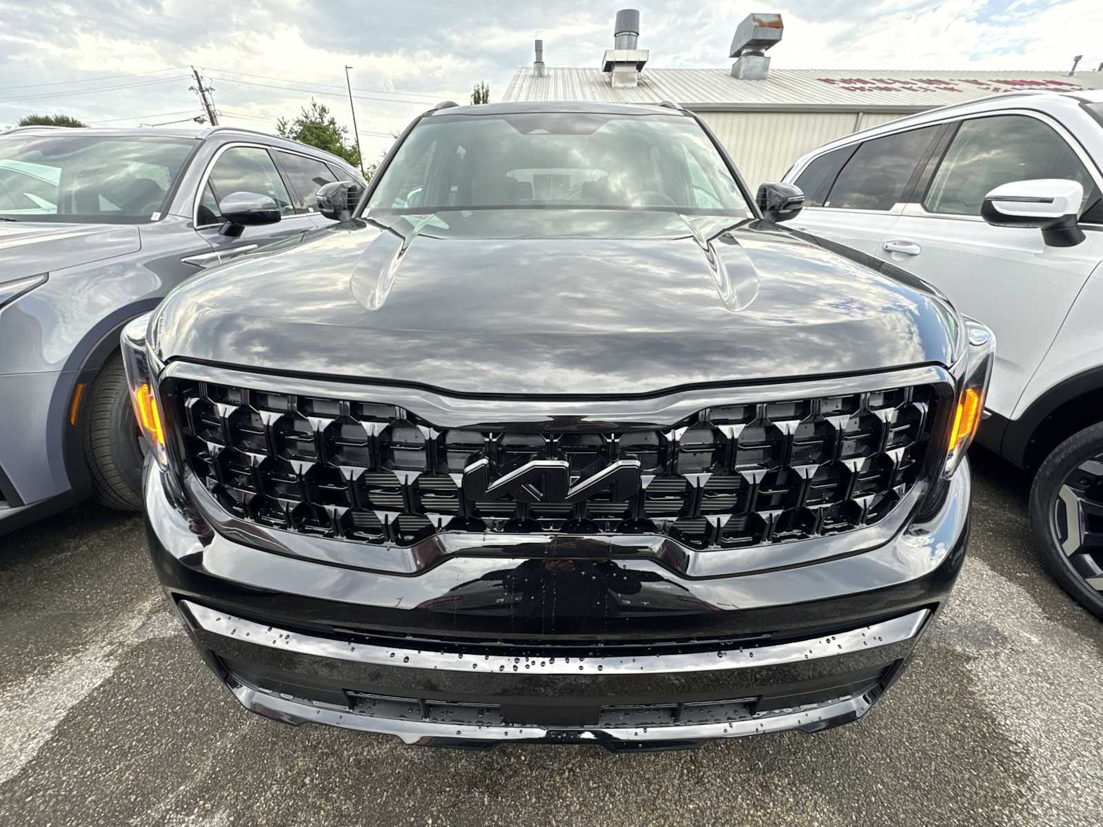 2025 Kia Telluride EX X-Line photo 20