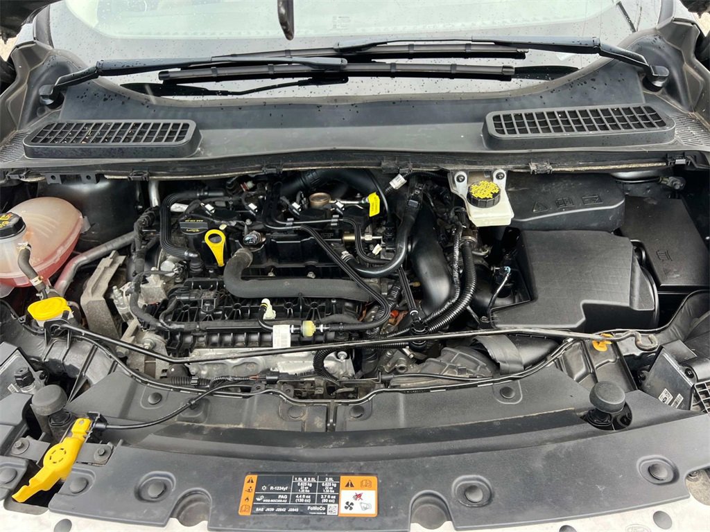 2019 Ford Escape SEL photo 9