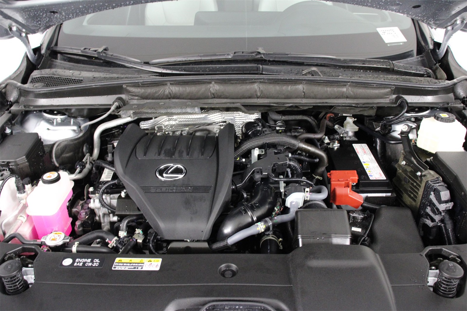 2024 Lexus RX 350 Premium photo 20