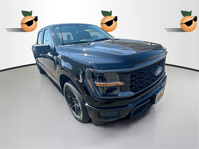 2025 Ford F-150 STX's photo