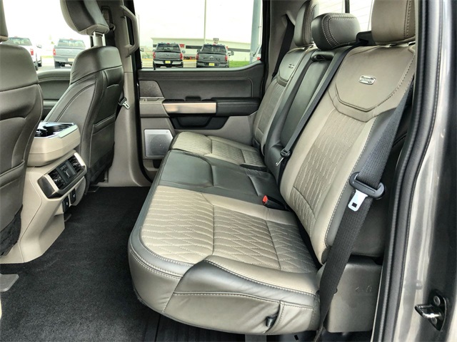 2024 Ford F-150 Platinum photo 14