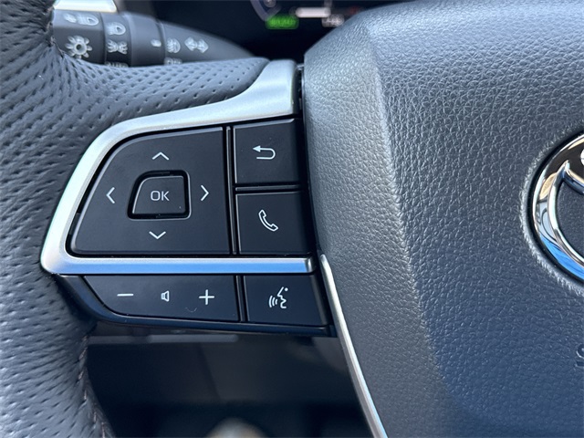 2025 Toyota Sienna Platinum photo 26