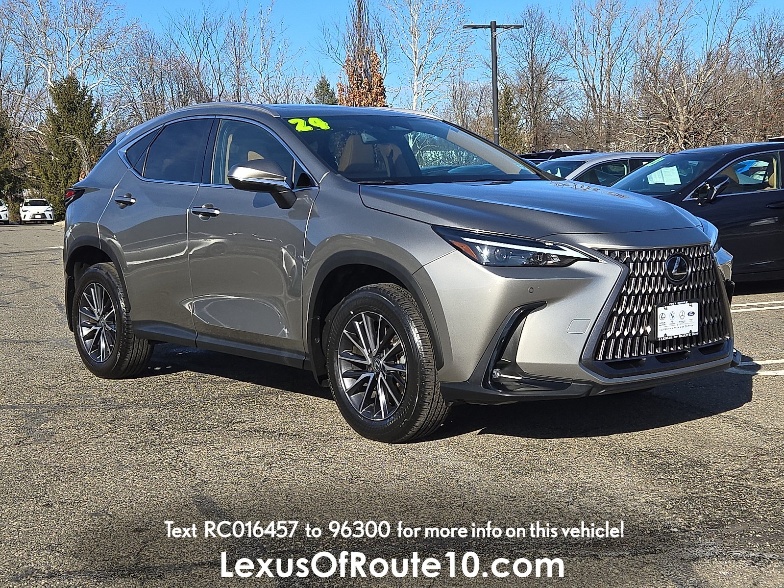 2024 Lexus NX Base's photo