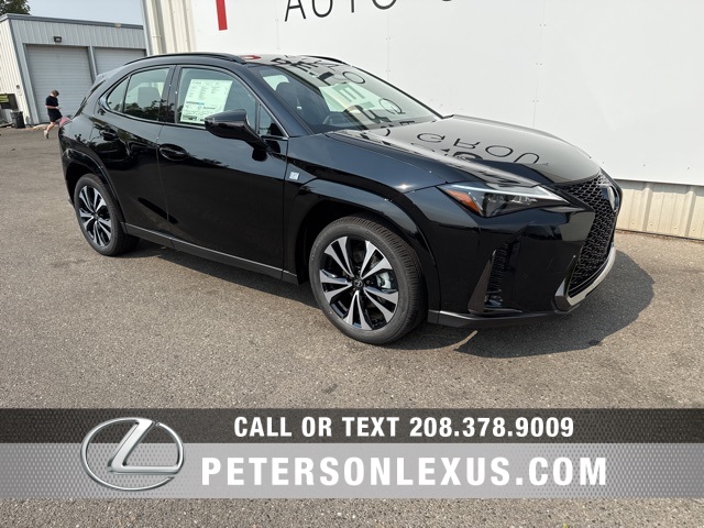 2025 Lexus UX F SPORT Design photo 2