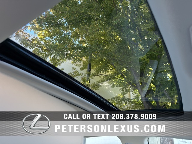 2025 Lexus ES 300h photo 11