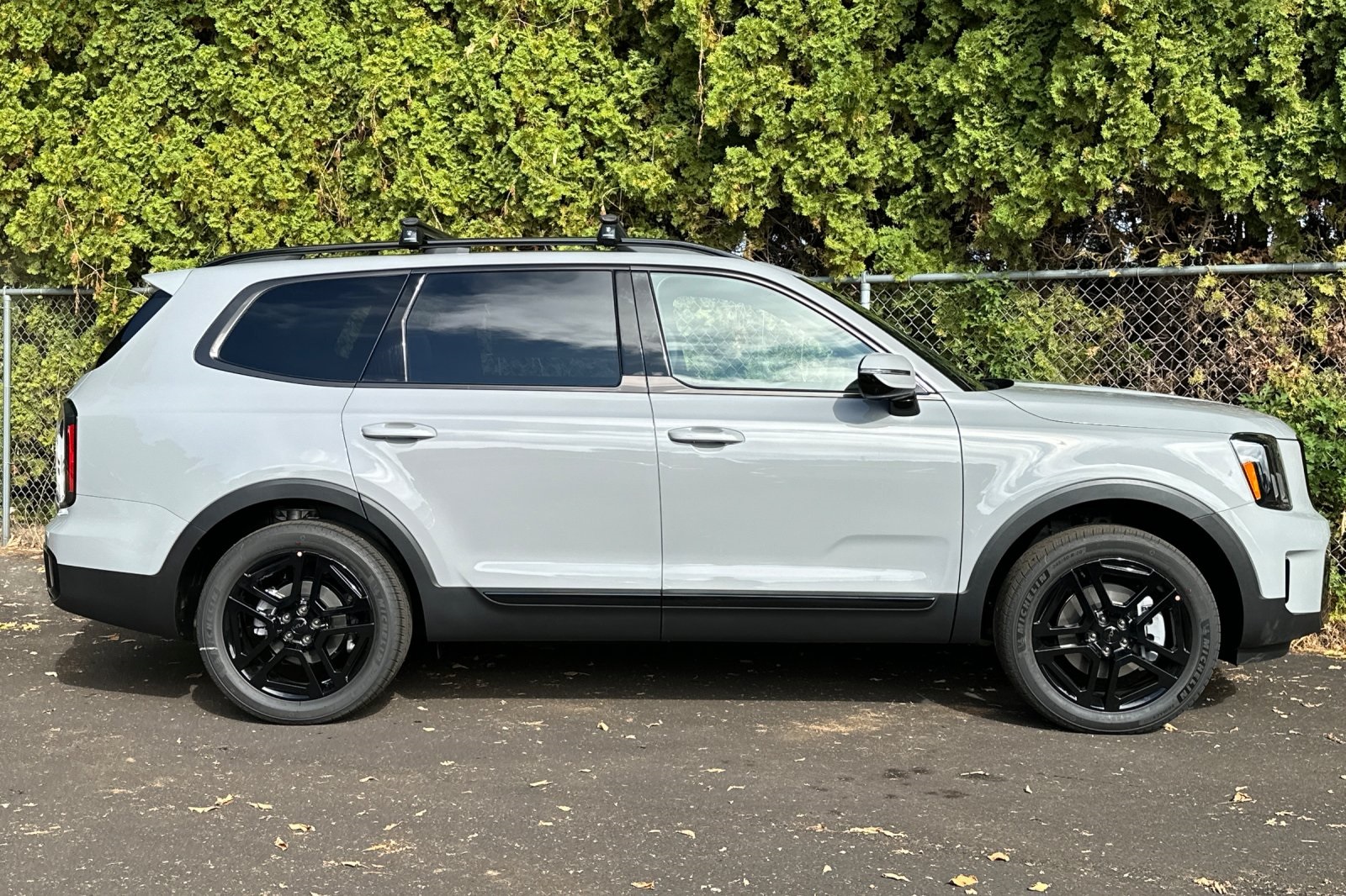 2025 Kia Telluride SX X-Line photo 2