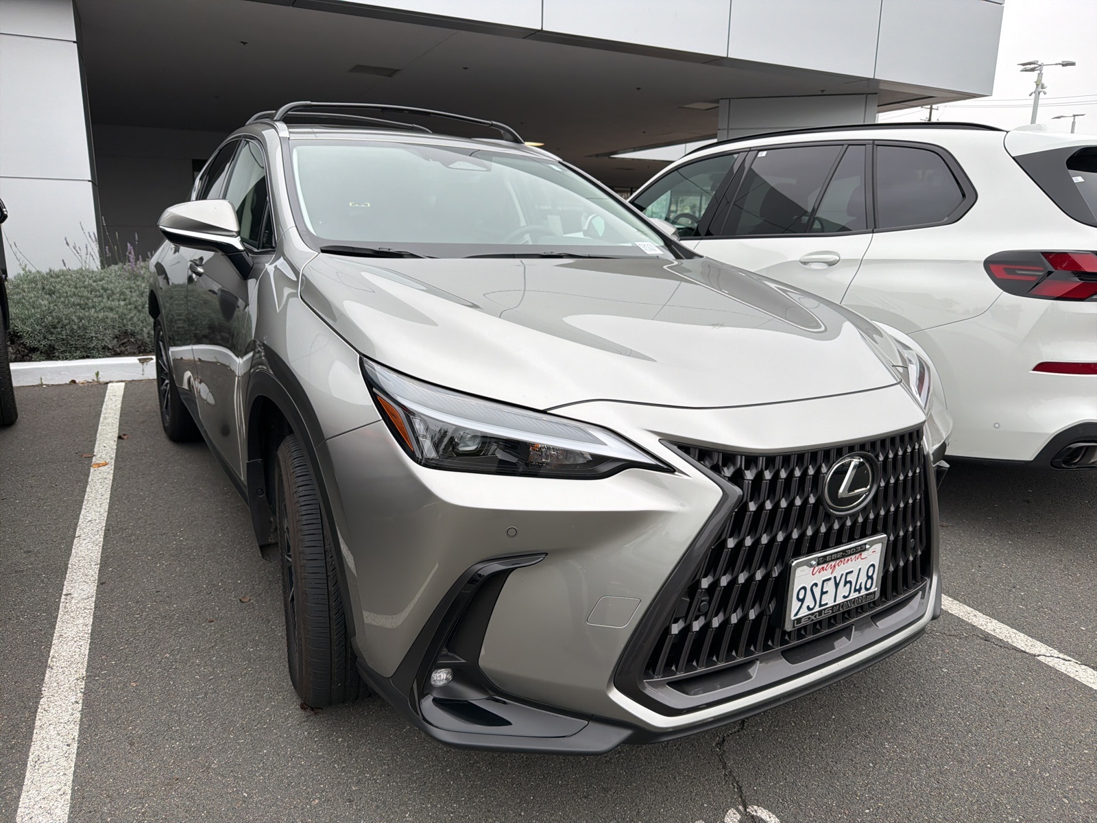 2025 Lexus NX Hybrid 350h's photo