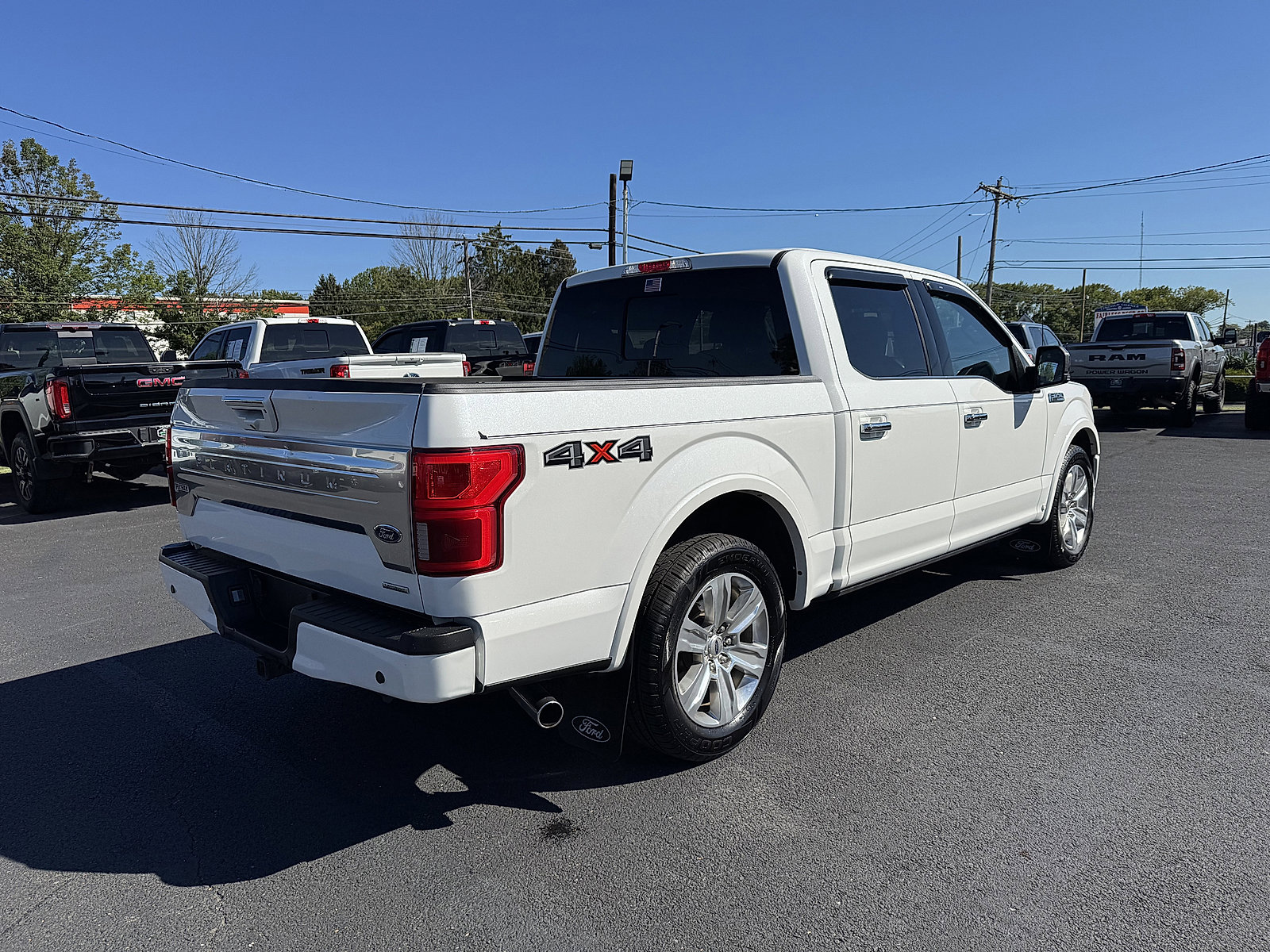 2020 Ford F-150 Platinum photo 3