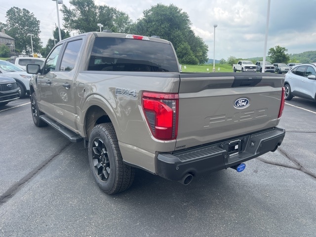 2025 Ford F-150 STX photo 6