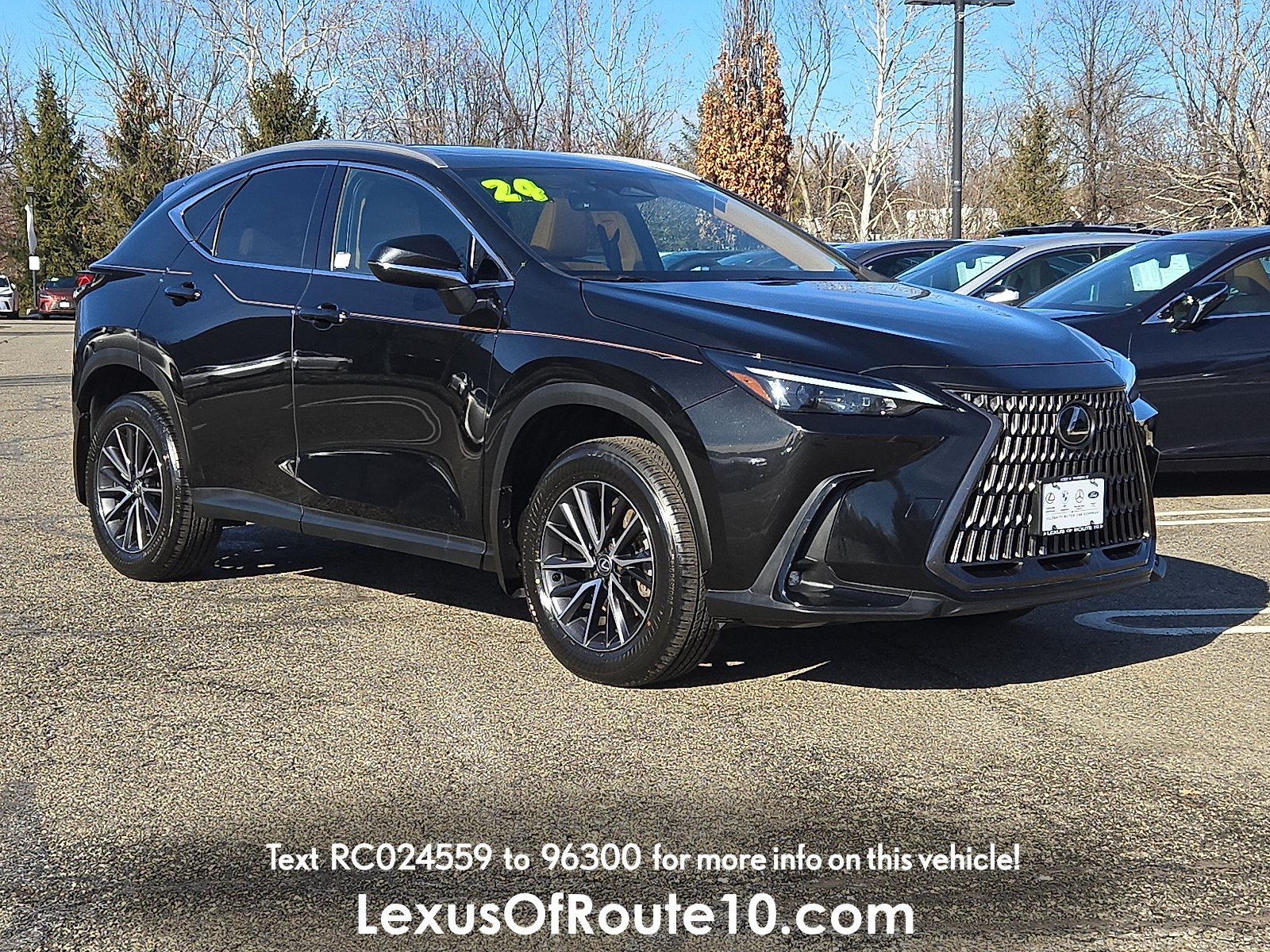 2024 Lexus NX Base's photo