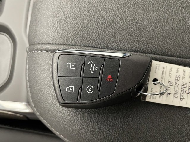 2025 Chevrolet Silverado 1500 RST photo 13