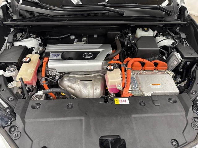 2019 Lexus NX 300h Luxury photo 3