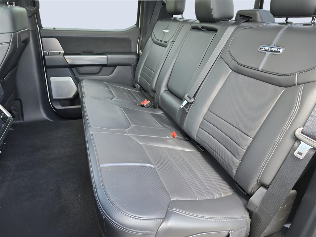 2024 Ford F-150 Platinum photo 21