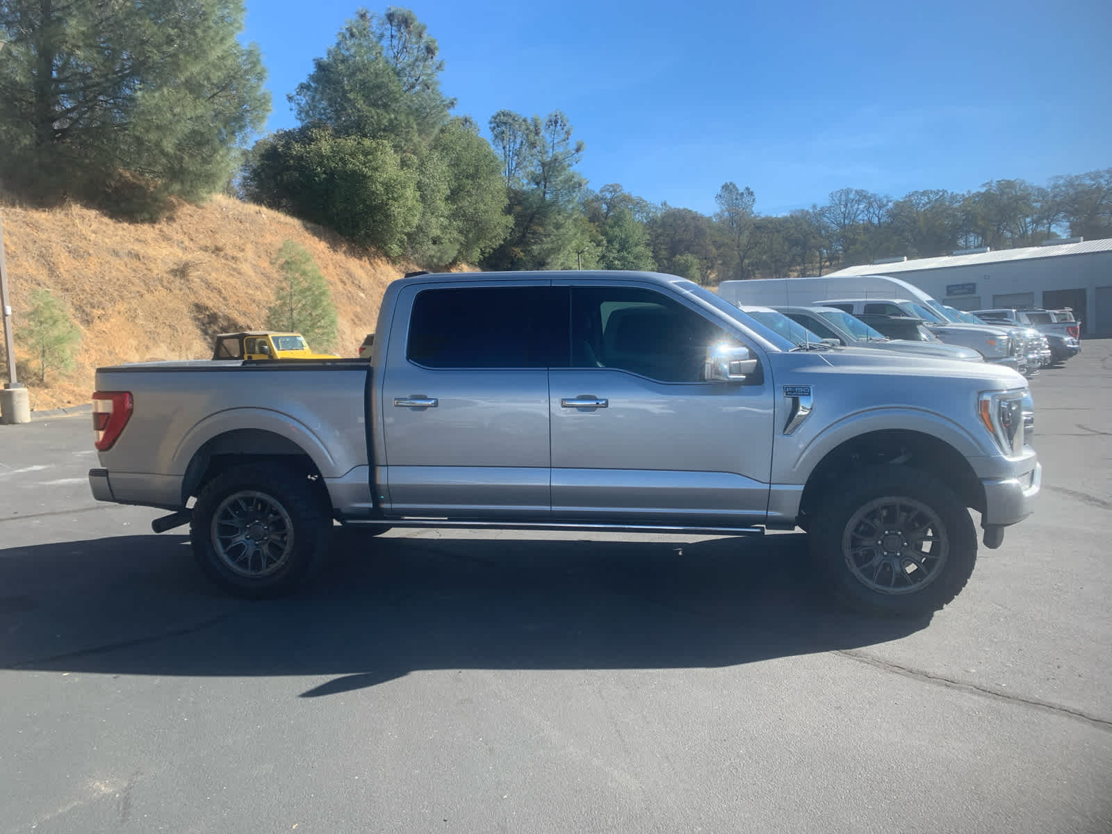 2021 Ford F-150 Platinum photo 4