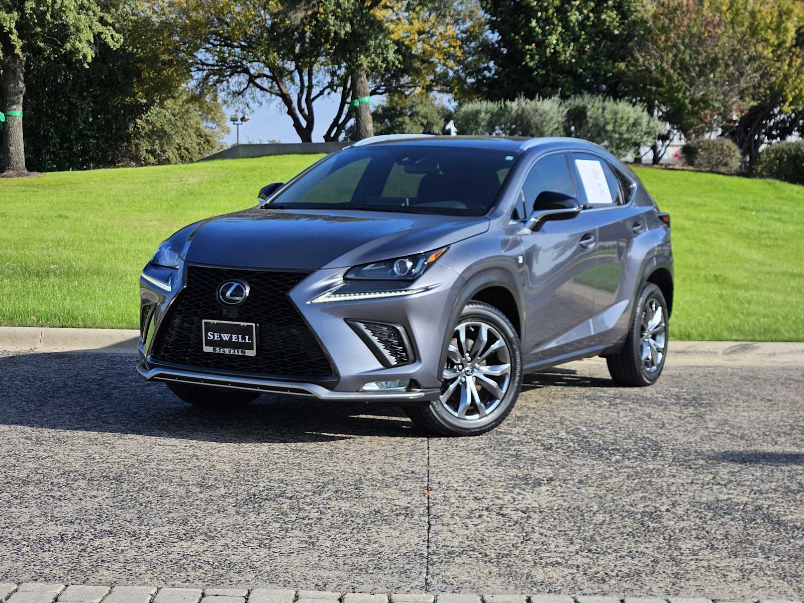 2021 Lexus NX 300 F SPORT