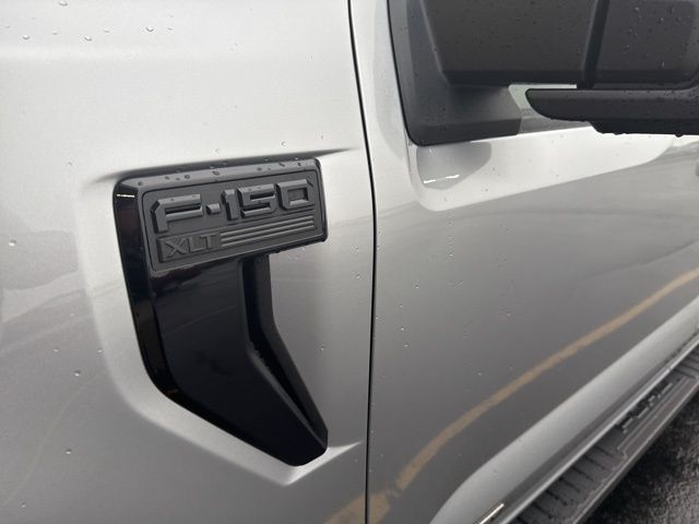 2025 Ford F-150 XLT photo 3