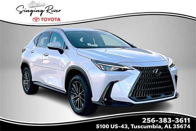 2022 Lexus NX 250's photo