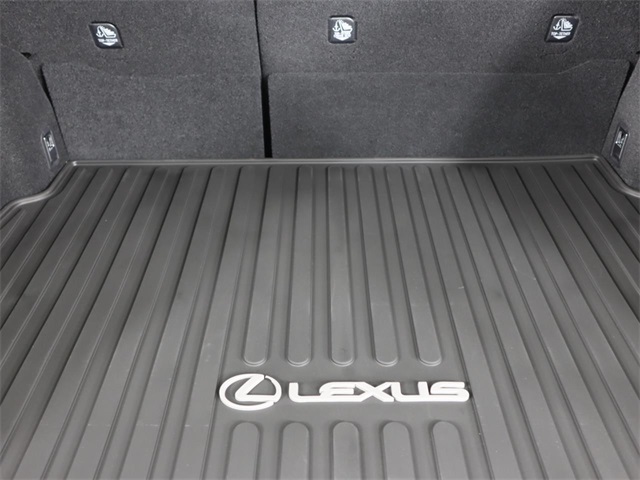 2025 Lexus UX photo 22