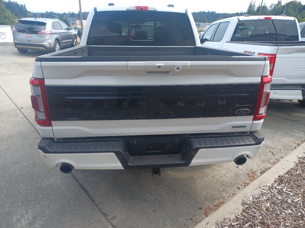 2022 Ford F-150 Platinum photo 4