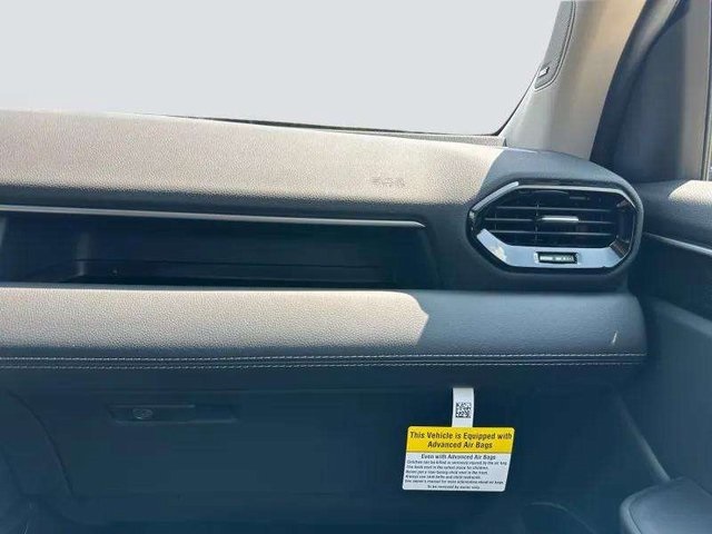 2025 Honda Pilot Elite photo 11