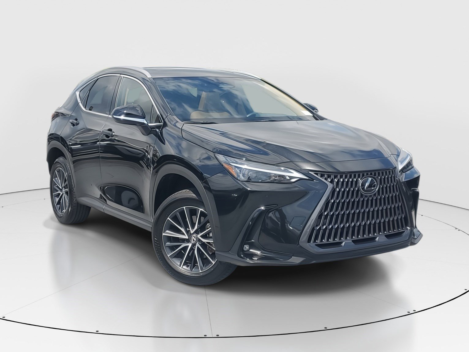 2024 Lexus NX 250's photo