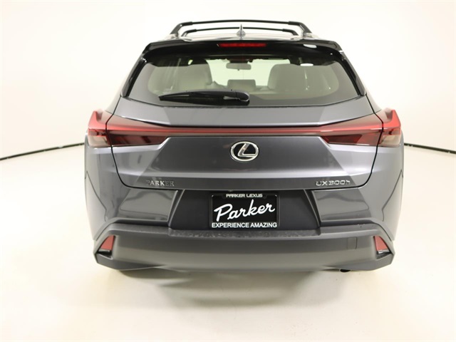 2025 Lexus UX photo 3