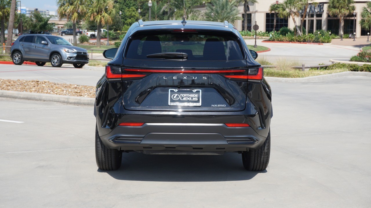 2025 Lexus NX Premium photo 8