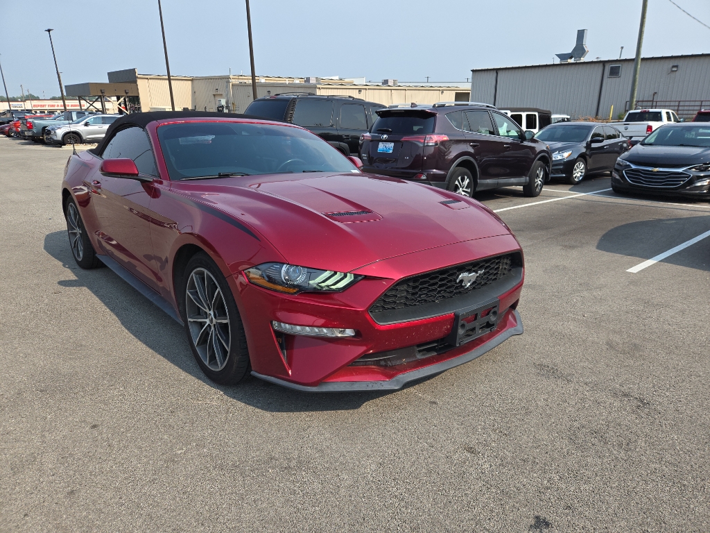 2019 Ford Mustang