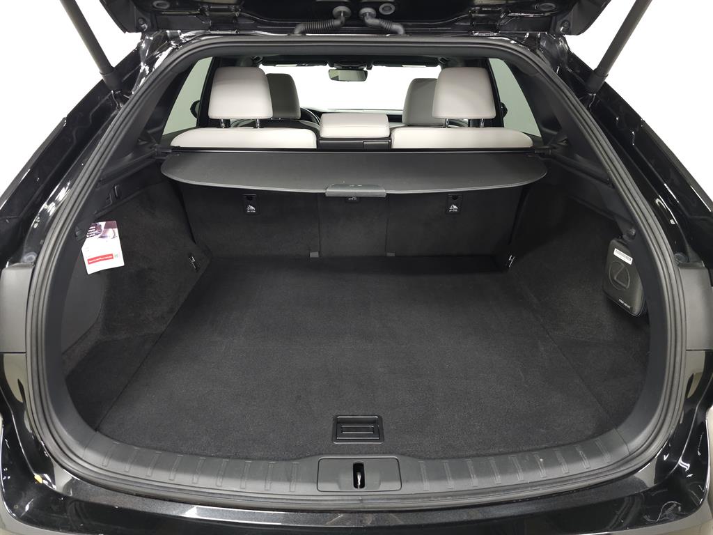 2024 Lexus RX 350 Premium photo 4